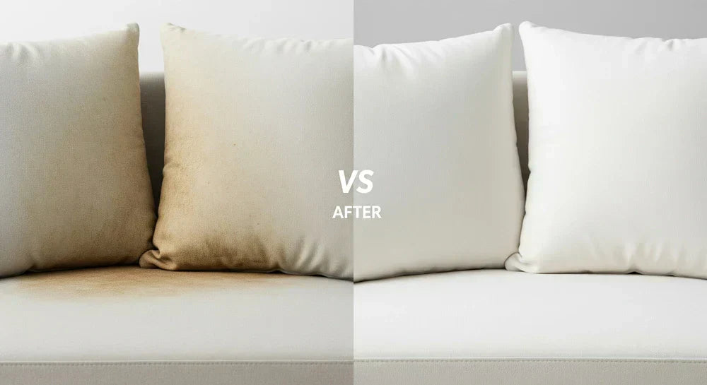 The Ultimate Pet Parent's Guide to Banishing Urine Odors from Your Favorite Cushions