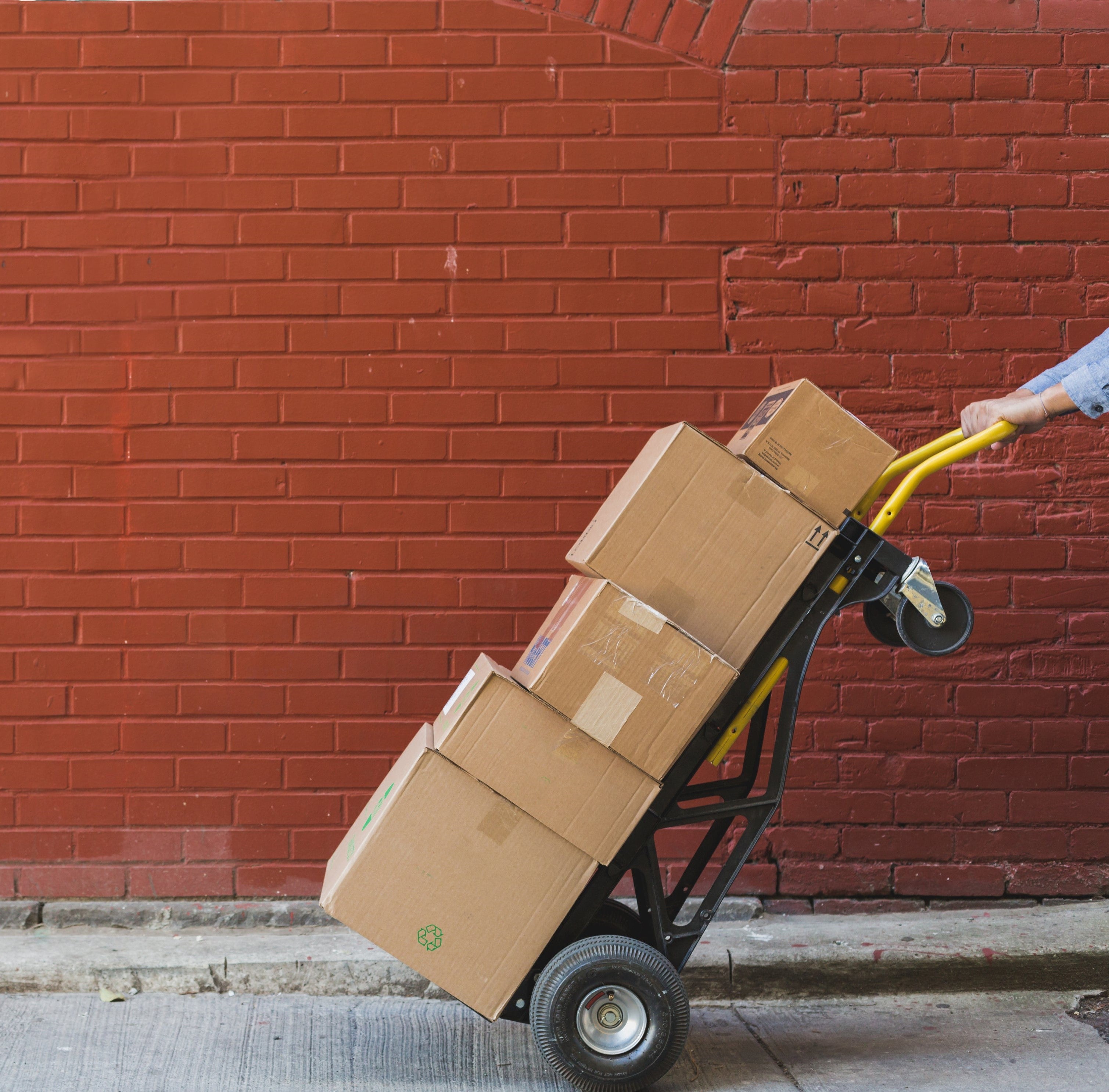 Rush shipping / Additional Fee