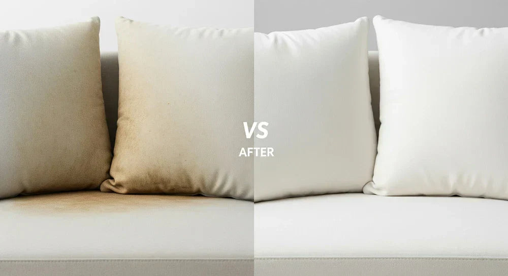 The Ultimate Pet Parent's Guide to Banishing Urine Odors from Your Favorite Cushions