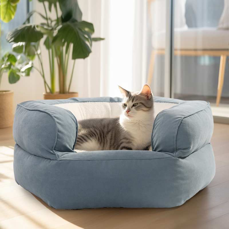 The sides of the pet bed create a feeling of enclosure, which can mimic the coziness and warmth of a nest. This can be particularly appealing to kittens as it reminds them of the comfort and security they experienced with their mother and littermates | Rulaer